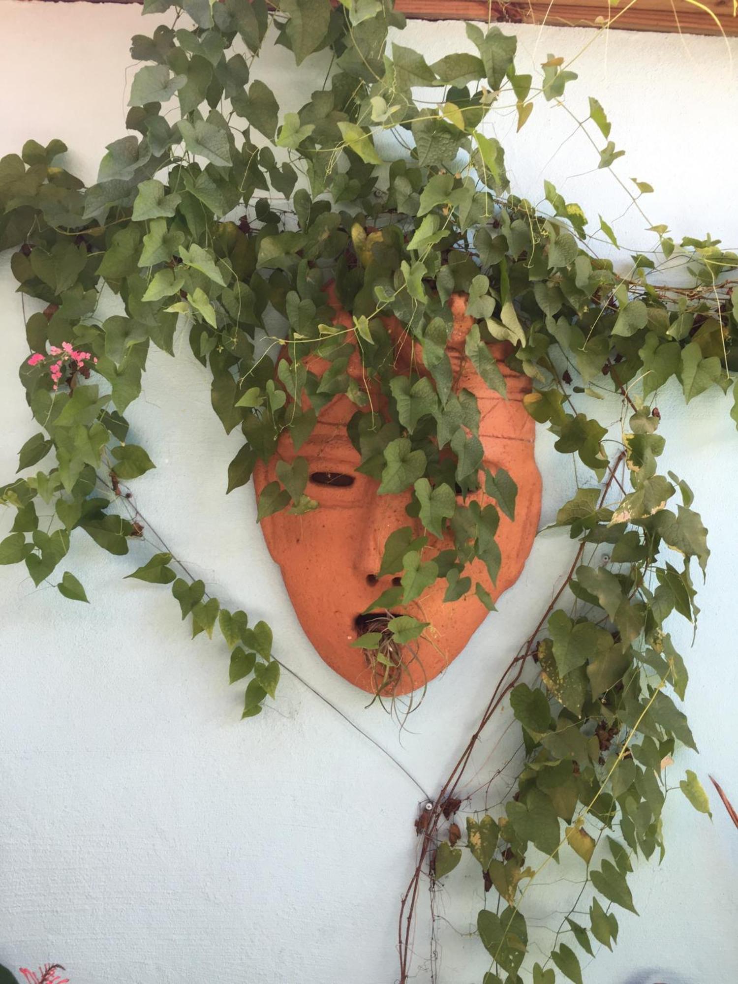 Sueno Grande B&B Puerto Viejo de Talamanca ภายนอก รูปภาพ