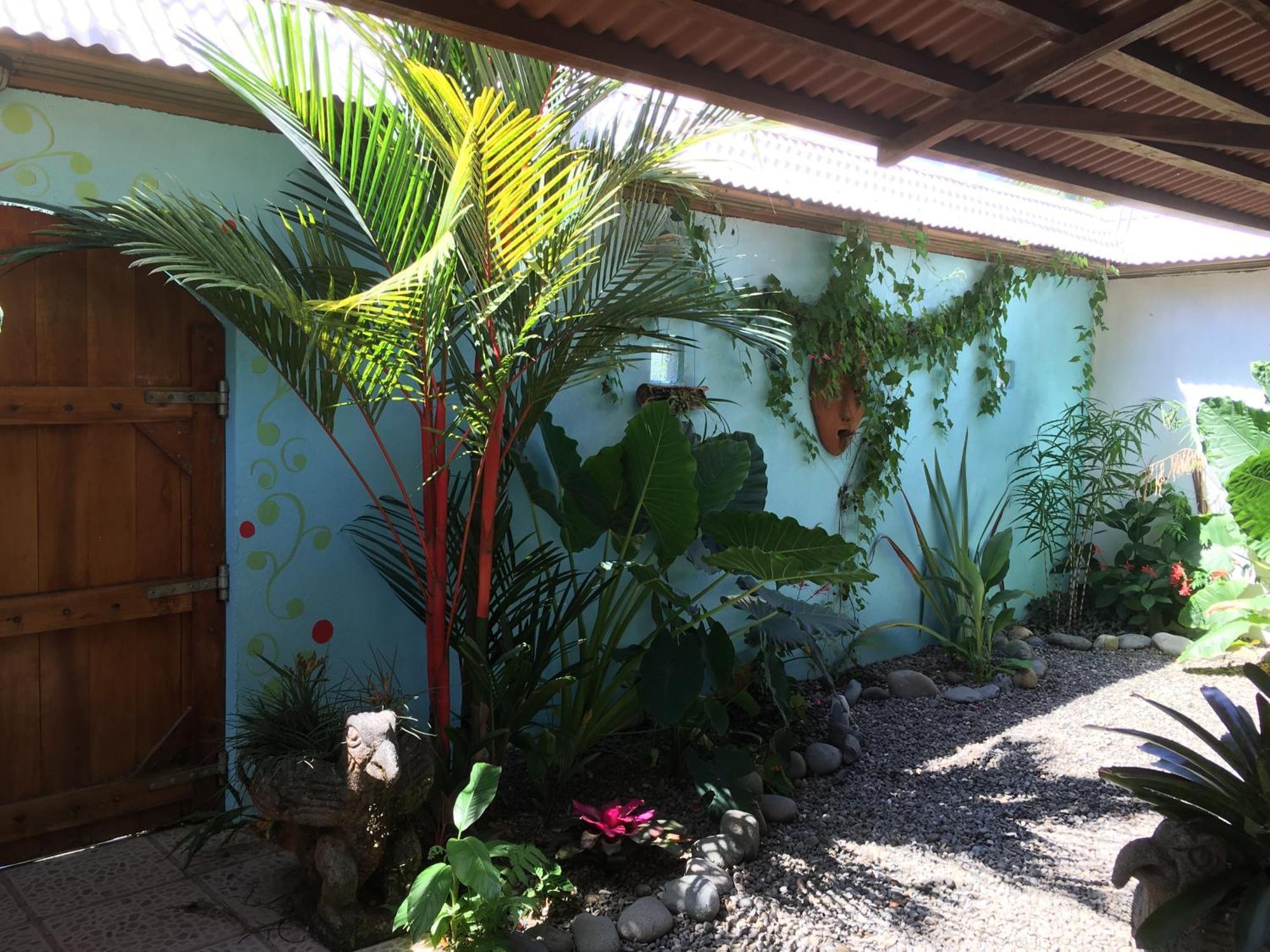 Sueno Grande B&B Puerto Viejo de Talamanca ภายนอก รูปภาพ