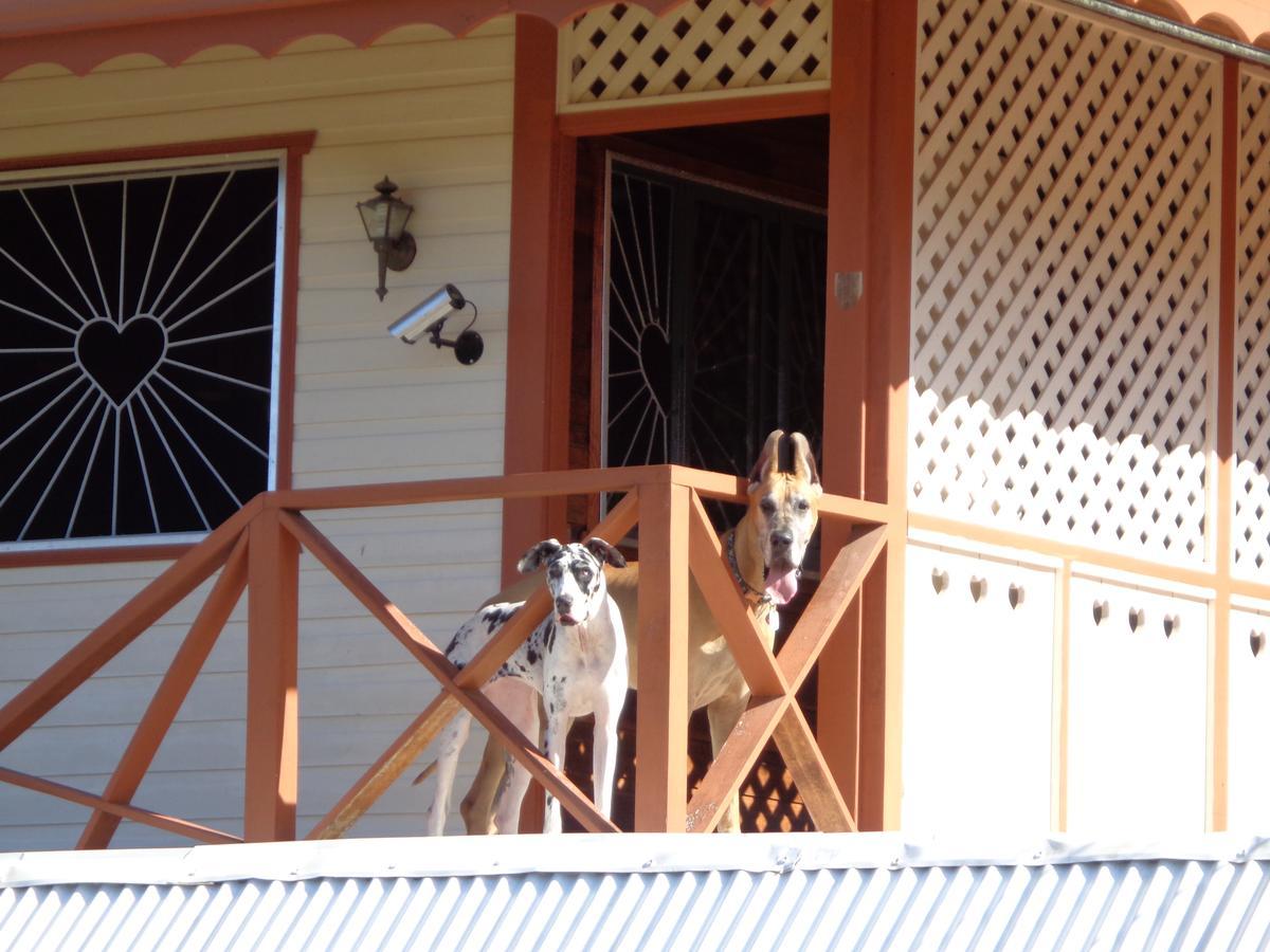 Sueno Grande B&B Puerto Viejo de Talamanca ภายนอก รูปภาพ