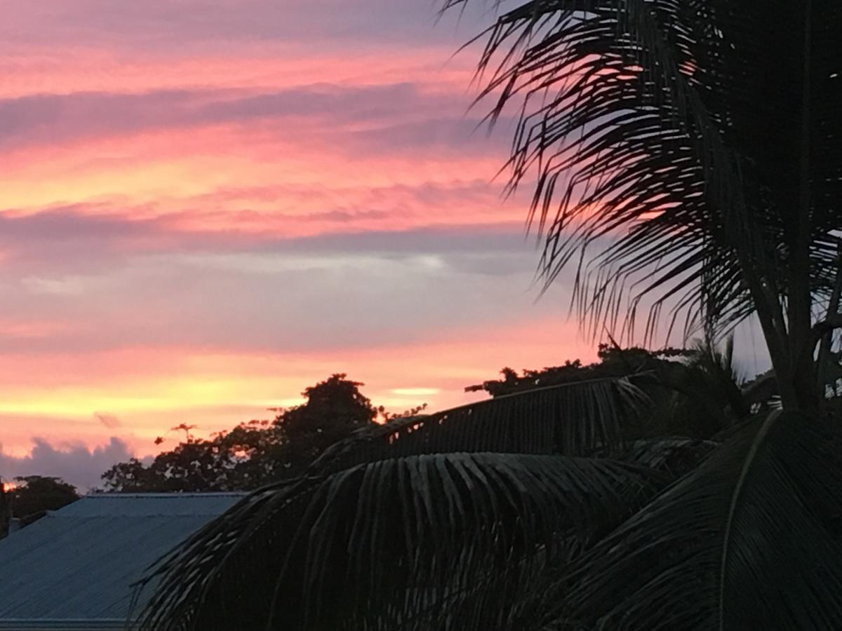 Sueno Grande B&B Puerto Viejo de Talamanca ภายนอก รูปภาพ