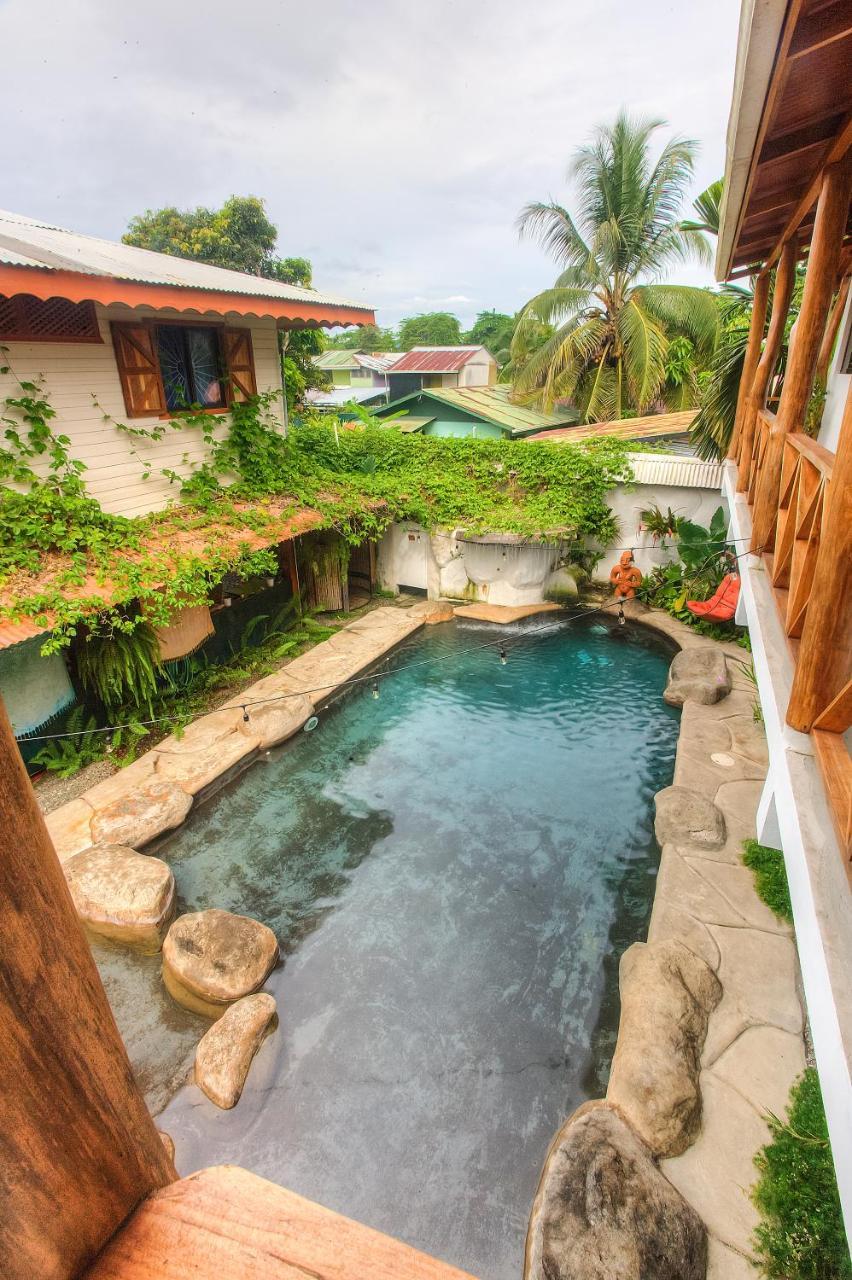 Sueno Grande B&B Puerto Viejo de Talamanca ภายนอก รูปภาพ